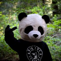 RiotPandaGaming(@riotpandagaming) 's Twitter Profile Photo