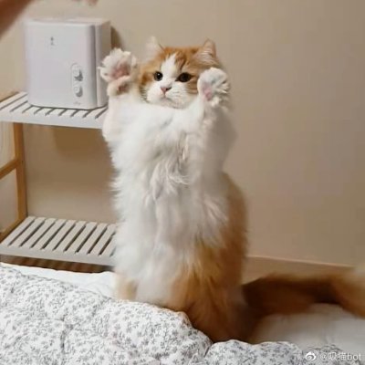 鴿子.さんのプロフィール画像