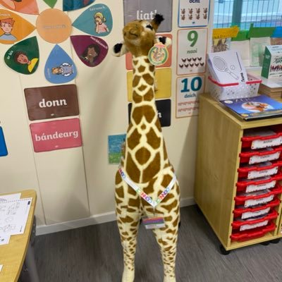 krcetns's profile picture. @EducateTogether newly developing school. We opened in 2019 and we have JI - 2nd Classes. Starting small, Dreaming BIG!! #LearnTogethertoLiveTogether