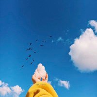 ريم💙🌻 (@reem___a11) Twitter profile photo