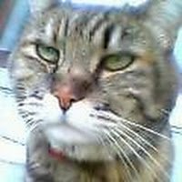 rHKSGfPcbc9A6hn's profile picture. 日本大学理工学部卒業🎓富士ゼロックスで複合機を開発していました。退職後、建築設計事務所でCADトレースをしていました。現在ではAmazonKDPで電子書籍📚を販売しています。写真集『Technical Photo Collection 』『AI美女シリーズ』などを執筆しています。