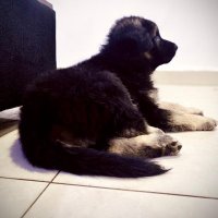 Lungu B🛞Y (@loquat25) 's Twitter Profile Photo