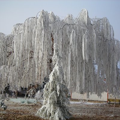 mymymy4206's profile picture. Bu yolun büyüklerini tanımak ve sevmek, Allahü Teâlânın en büyük nimetlerindendir. Büyüklerin sözleri, sözlerin büyüğüdür.