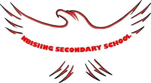 Nbisiing's profile picture. 