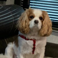 janetMarshall (@janetma45635541) 's Twitter Profile