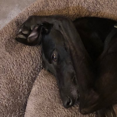 AndyWood23's profile picture. Love football - Love Sport