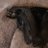 AndyWood23's profile image
