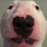 mistake (@mistake42681454) 's Twitter Profile