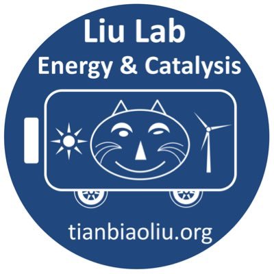 A group twitter shares Energy Storage (RFBs and metal ions) and Catalysis (electrosynthesis and energy conservation). “莫听穿林打叶声，何妨吟啸且徐行”!