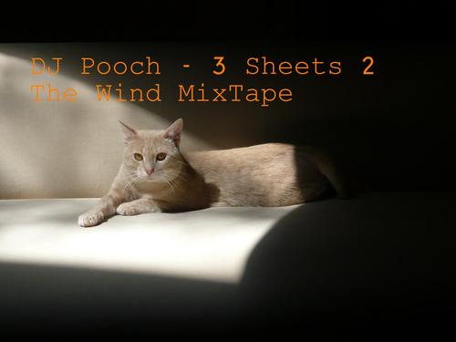 djpooch's profile picture. Mr Pooch Just a Random Dj Cat. First Mixtape coming out Soon its gonna be called. 3 Sheets 2 The Wind