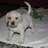 caho_lety's profile image