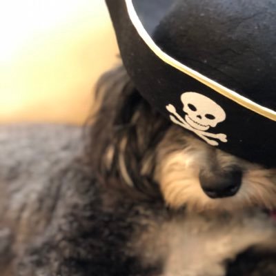 thaetan's profile picture. 4 x Dad, partner at a global private equity firm, Woodstocker by birth & nature. Free mkt interventionist, bleeding heart Constitutionalist. Views my own.