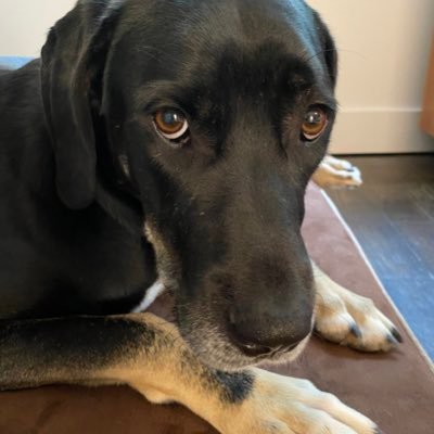 ChuckKunze's profile picture. 