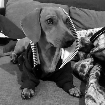 julioglzz's profile picture. in the pursuit of wrongdoing, one steps away from god.