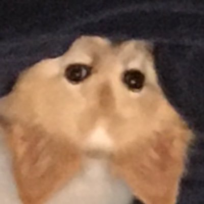 ibeme16's profile picture. 