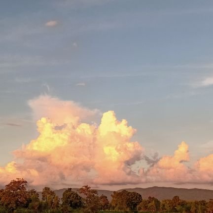 Ammiie_01's profile picture. ตอนนี้มีอะไรขายได้ก็ขายหมดจ่ะ