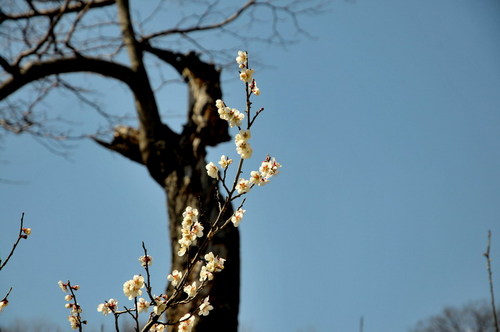 comet3000's profile picture. 누군가 만나서 세상 사는 이야기를 나누며 살아간다는 것이 얼마나 행복한가를 아는 사람이 얼마나 될까?  우리가 서로 모르고 사는 것이 얼마나 있는가를...

나는 하늘과 땅만 쳐다 보면 할 이야기가 죽을 때 까지 해도 못할것 같다.