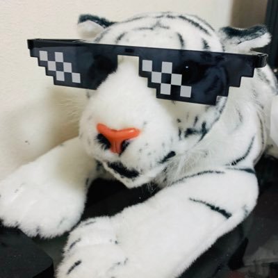 Viga 𝕏 ヴィガ Profile
