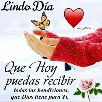 JulioRo94638439's profile picture. me ciento orgulloso de ser periodista