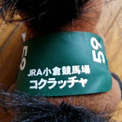 競馬致します
🥕キャロットクラブ

好きな競馬場は小倉競馬場