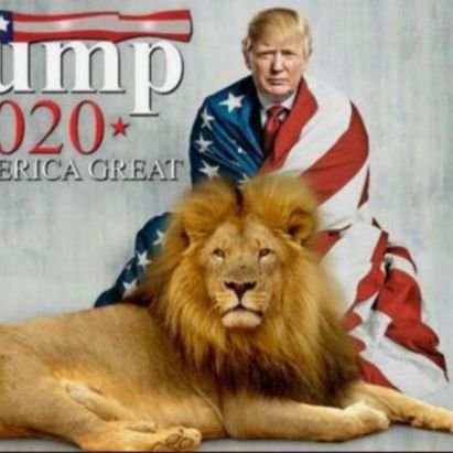 crashkotas's profile picture. God Bless America🇺🇸
❤Trump