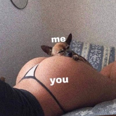 abioticfactor17's profile picture. Thriving like the rest of y’all