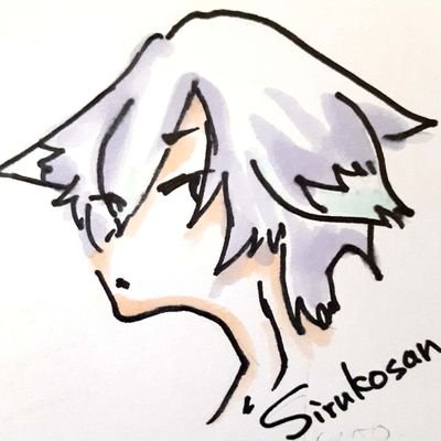 のこたけのこさんのプロフィール画像