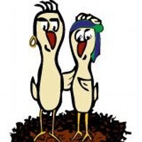 The GypsyNesters (@gypsynester) 's Twitter Profile Photo The GypsyNesters (@gypsynester) 's Twitter Profile Photo