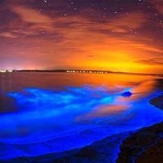 shadesofcool28's profile picture. Nobody in nowhere