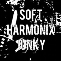 Soft Harmonix Junky(@Soft_Harmonix) 's Twitter Profile Photo