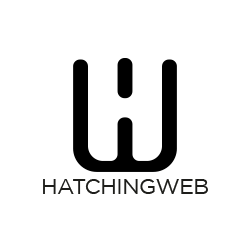 HatchingWeb's profile picture. Hatching Web a complete web solutions platform to drive your business, a peripheral of the leading digital web agency SpiderWorks Technologies.