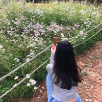 つむぎ (@tsumufx) 's Twitter Profile
