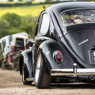 Rodolfo84408895's profile picture. solo soy yo