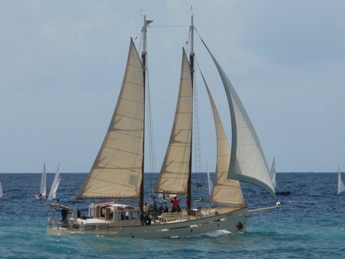 velacostabrava's profile picture. empresa de charter nautico en la Costa Brava, en la goleta Pepa Bandera II te llevaremos a explorar la costa brava, navegando a vela tradicional.