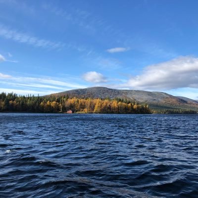 beardmosss's profile picture. 