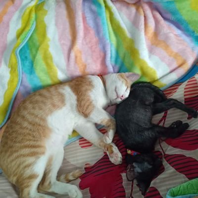 Modme_'s profile picture. YOU THINK BIG
YOU  GET  BIG.
(CR.เสื้อยืดตัวละร้อย)