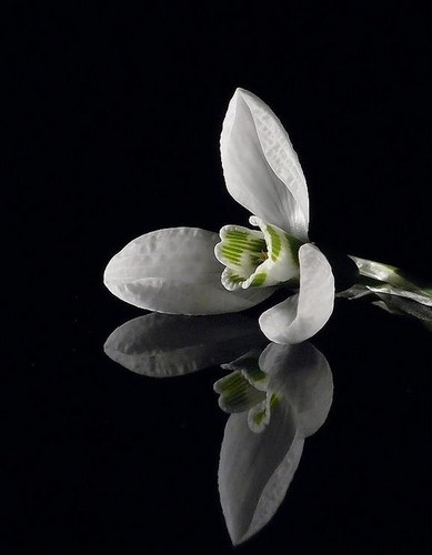 Brittaxx's profile picture. 