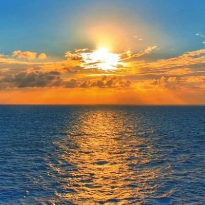 bluebiscuit831's profile picture. nice to meet you