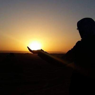 AhlamMjahdi's profile picture. Responsable logistique