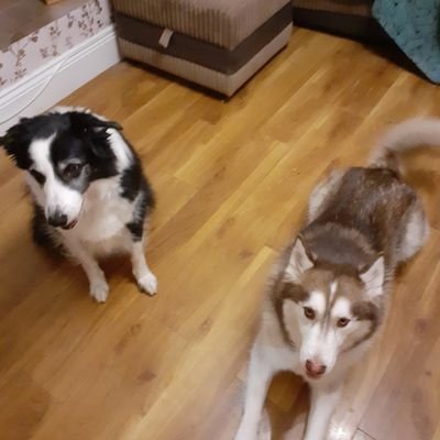 HenrySearle8's profile picture. 