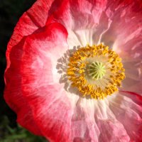 @clareleslandes #FBPE (@clareleslandes) 's Twitter Profile