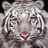 Frances99637809's profile picture. 