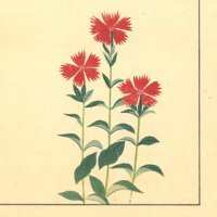 喫酒幾星 (@barixey) 's Twitter Profile Photo