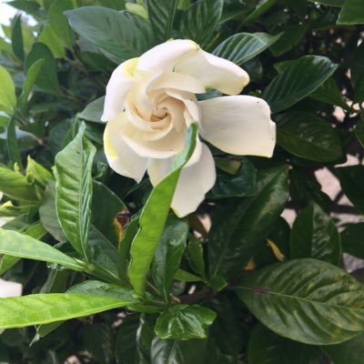 TYA4Y8Zp5pRoiPk's profile picture. 