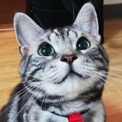 リトさんのプロフィール画像
