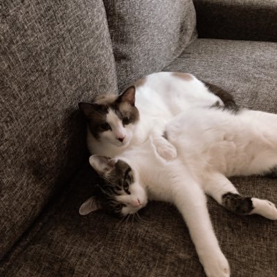 3FIHLcsMPfiQ5nU's profile picture. 