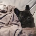 Arthur (LeThug) - @ArthurRenaud10 - Twitter