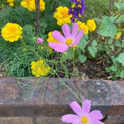 美しい自然や風景、芸術、心に響く本や言葉、強くあたたかい心、など全ての美しいものにふれ、感動を分かち合いたいです。この地球が全ての生き物にとって幸せな世界になりますように🍀学び考え少しずつ行動していきたいです。（平日は朝晩ツイート）よろしくお願いします♬DMは見ません。