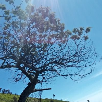 Gilangarisptr's profile picture. 🎯 My tweets are my own 
🤓 Data nerd
📊 IG : @jurnaldata.id