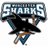 Profile Picture of Worcester Sharks (@@WorcesterSharks) on Twitter